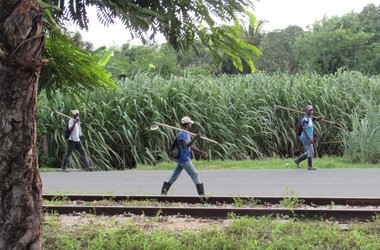 “Tú amas la justicia y odias la impiedad” (Sal 45, 8)