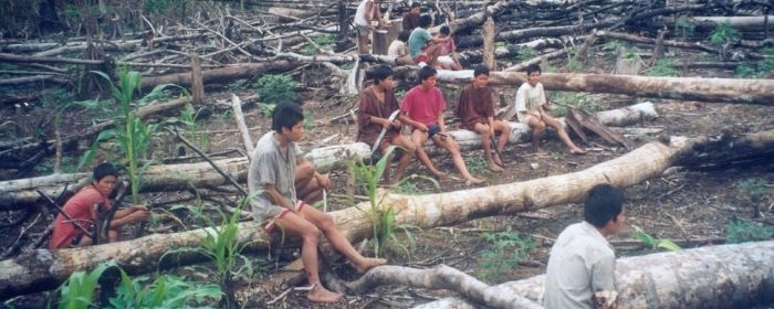 La Historia de las Misiones nos enseña mucho sobre la deforestación de la selva amazónica ¿sabías cuándo...