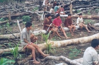 Indígenas Tala árboles Perú