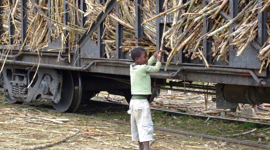 nino-cana-de-azucar-republica-dominicana-seibo-noticia_imagen