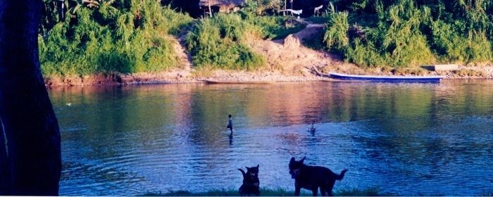Río Perros Sepahua Peru